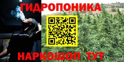 хмурый Аргун