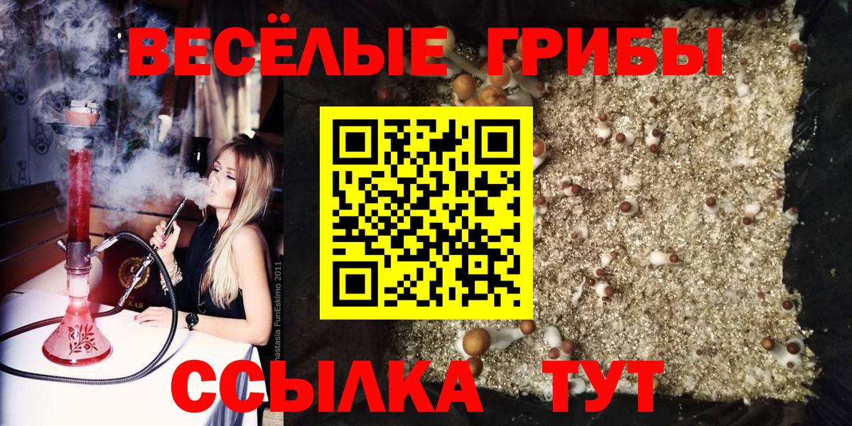 Псилоцибиновые грибы Psilocybine cubensis Будённовск