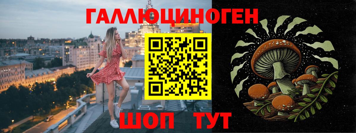 Будённовск  Галлюциногенные грибы GOLDEN TEACHER  Вход с VPN  наркота  Псилоцибиновые грибы Psilocybine cubensis 